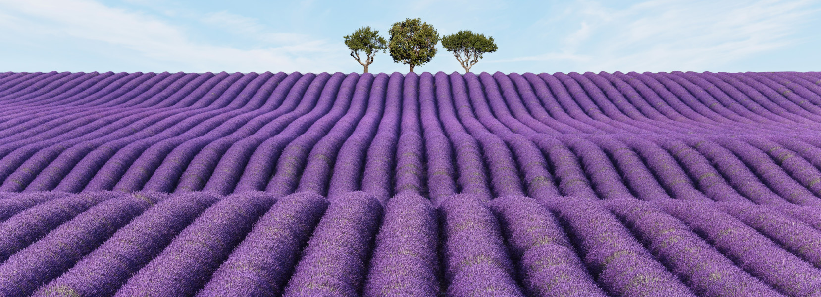 8 ZANIMLJIVIH ČINJENICA O MIRISIMA